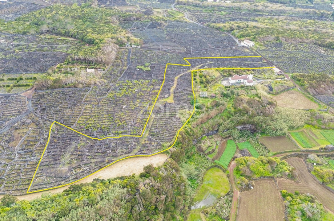 Terreno para Venda em Madalena Foto 5