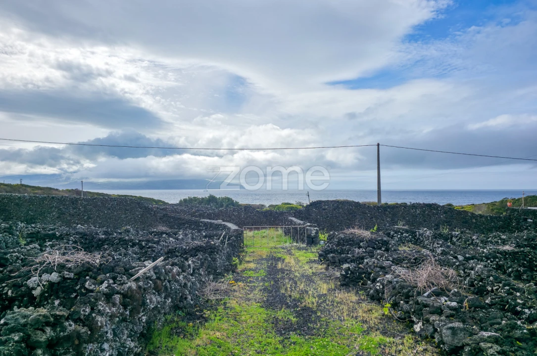 Terreno para Venda em Madalena Foto 21
