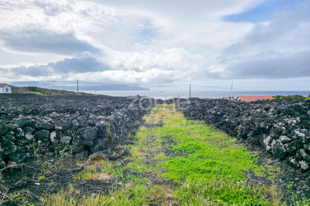 Terreno para Venda em Madalena Foto 20