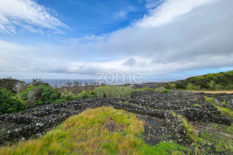 Terreno para Venda em Madalena Foto 15
