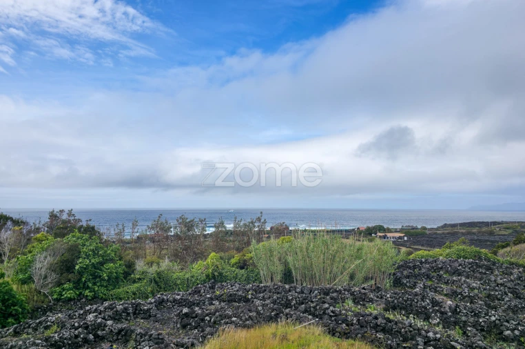 Terreno para Venda em Madalena Foto 16