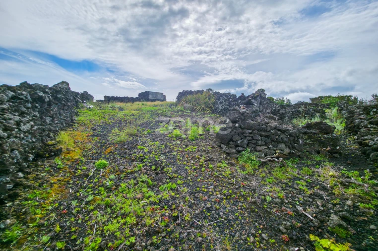 Terreno para Venda em Madalena Foto 12