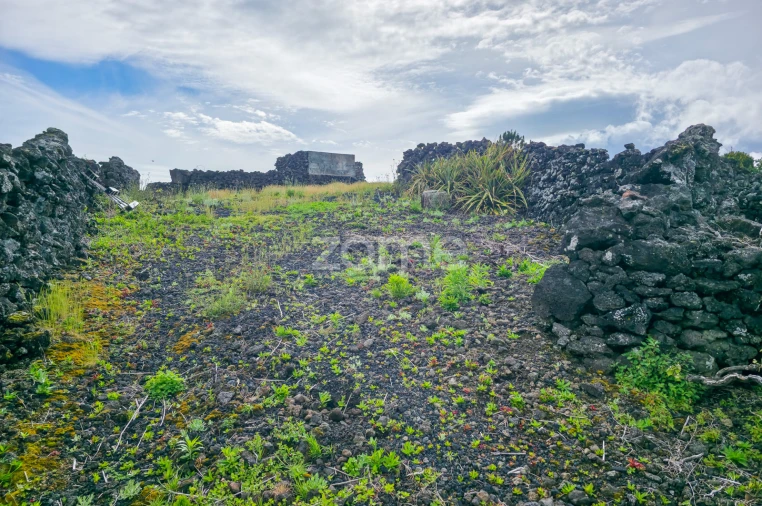 Terreno para Venda em Madalena Foto 14