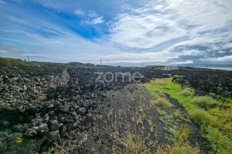 Terreno para Venda em Madalena Foto 17