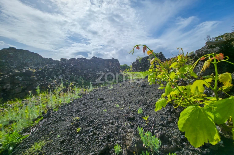 Terreno para Venda em Madalena Foto 6