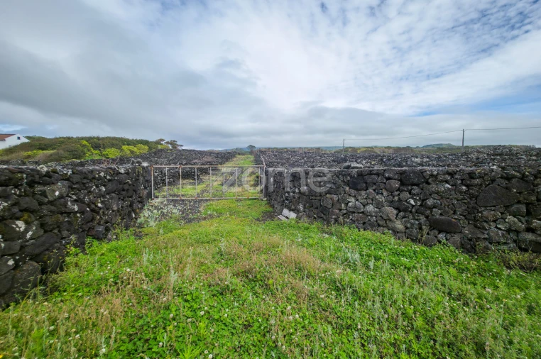 Terreno para Venda em Madalena Foto 22
