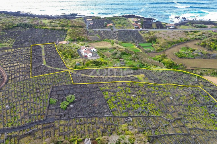 Terreno para Venda em Madalena