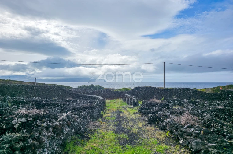 Terreno para Venda em Madalena Foto 21