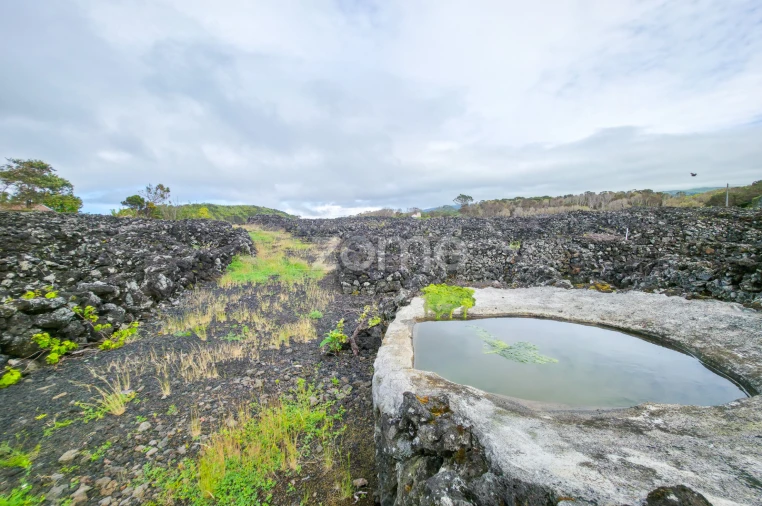 Terreno para Venda em Madalena Foto 18