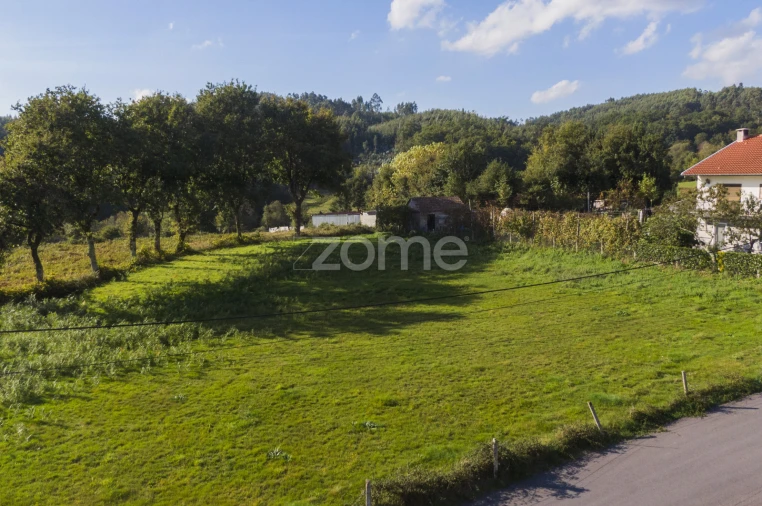 Terreno para Venda em Serzedelo Foto 2