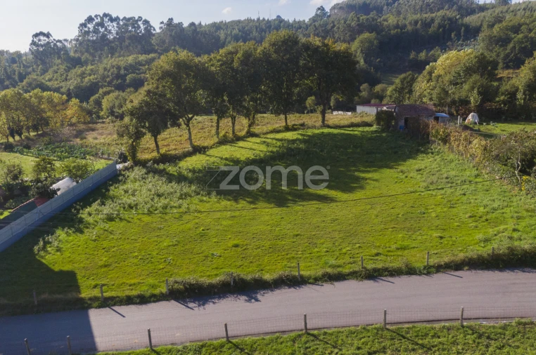 Terreno para Venda em Serzedelo Foto 5