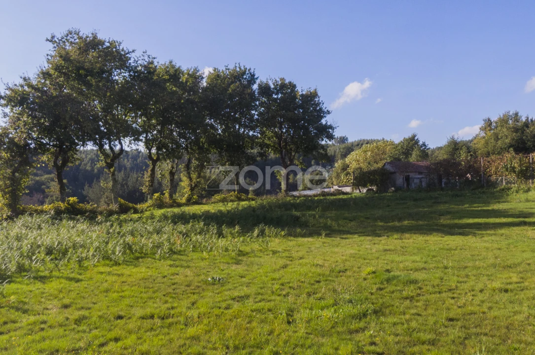 Terreno para Venda em Serzedelo Foto 14