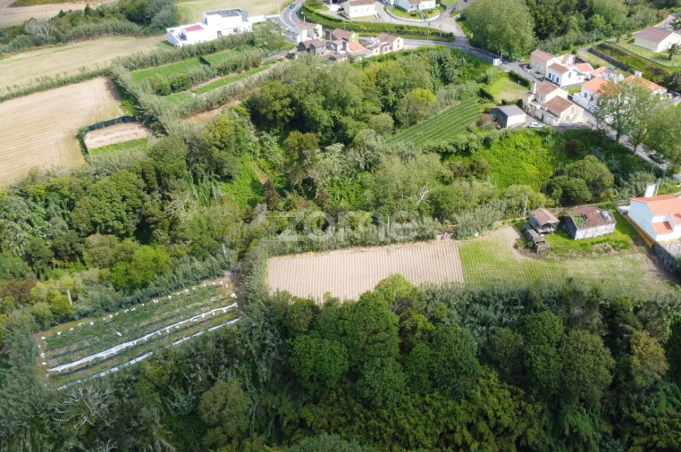 Moradia T2 para Venda em Candelaria Foto 10