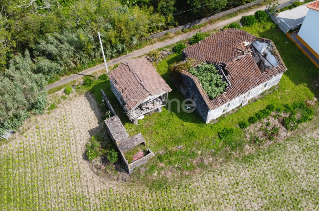 Moradia T2 para Venda em Candelaria Foto 11