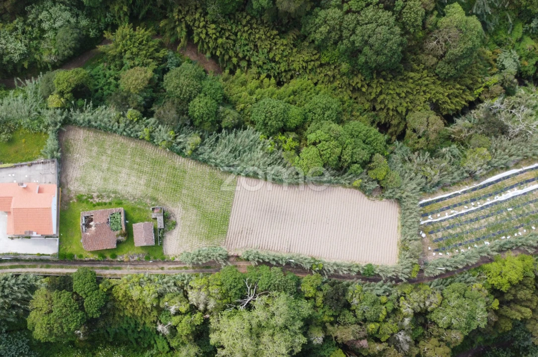 Moradia T2 para Venda em Candelaria Foto 6