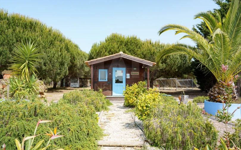 Quinta para Venda em Odeceixe Foto 4