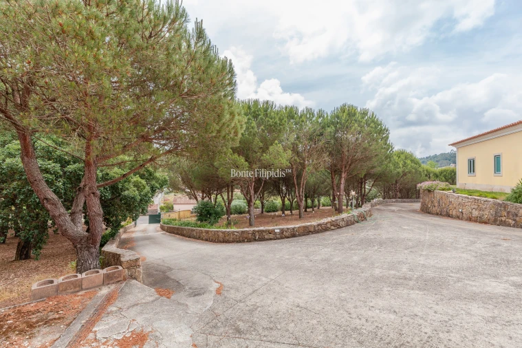 Moradia T6 para Venda em Lousa Foto 44