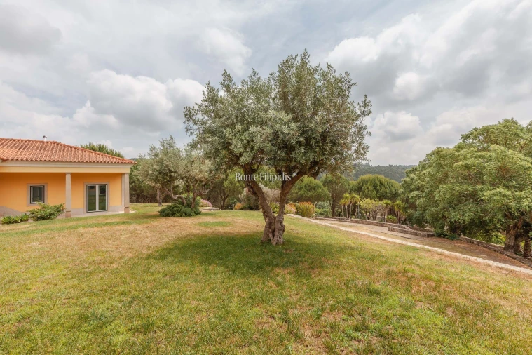 Moradia T6 para Venda em Lousa Foto 49