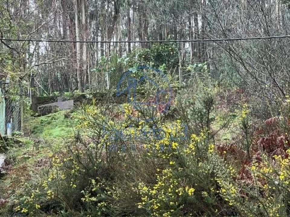 Terreno para Venda em Santa Marinha e São Pedro da Afurada Foto 8