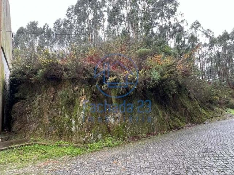 Terreno para Venda em Santa Marinha e São Pedro da Afurada Foto 5