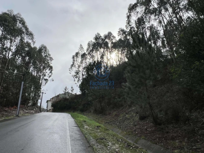 Terreno para Venda em Santa Marinha e São Pedro da Afurada Foto 14