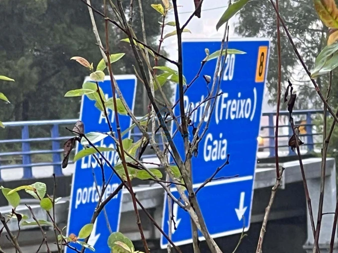 Terreno para Venda em Santa Marinha e São Pedro da Afurada Foto 11