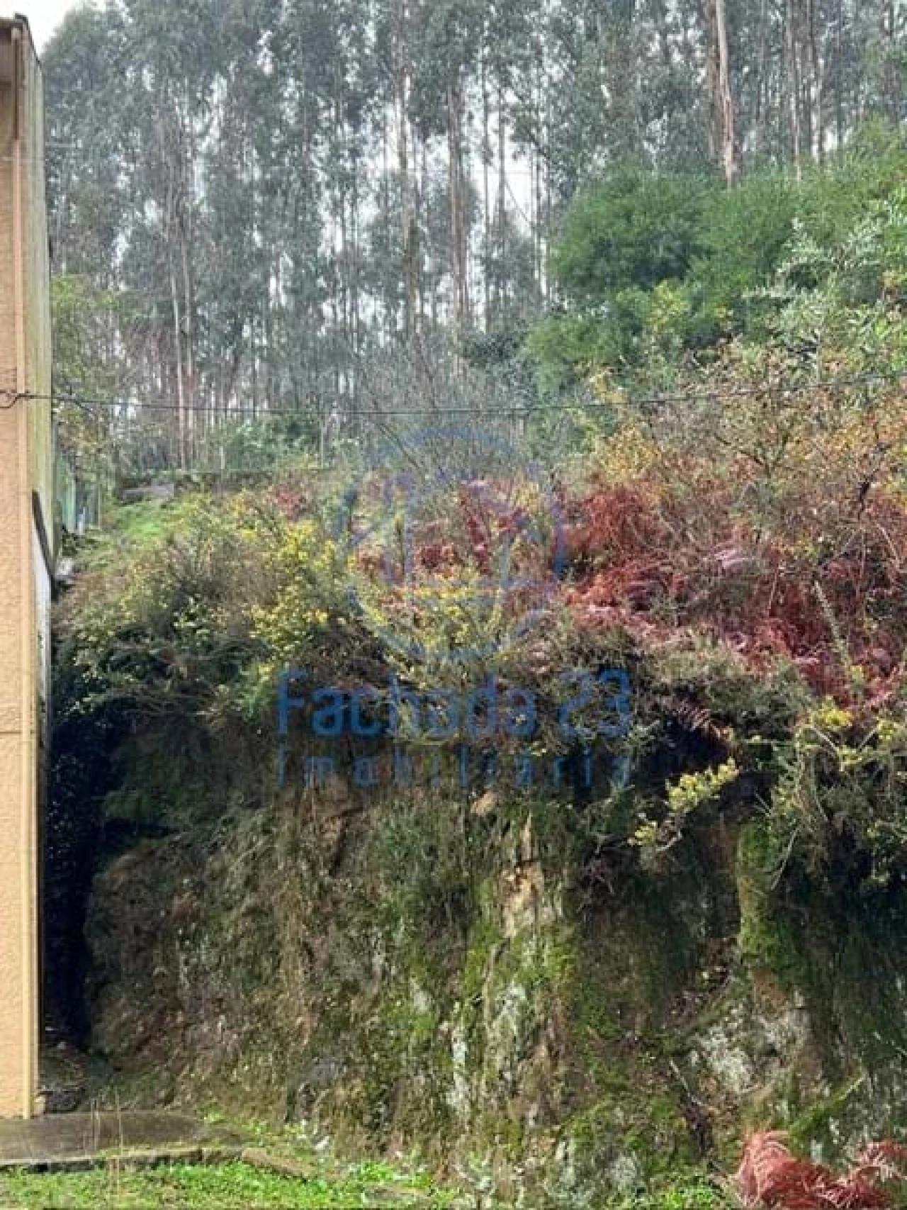 Terreno para Venda em Santa Marinha e São Pedro da Afurada Foto 7