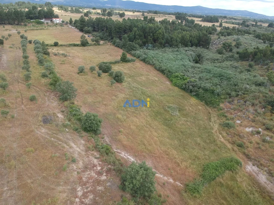 Terreno para Venda em Lardosa Foto 4