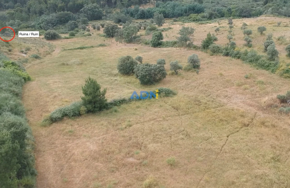 Terreno para Venda em Lardosa Foto 2