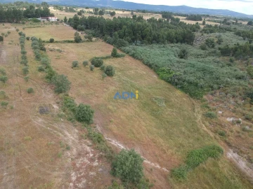 Terreno para Venda em Lardosa