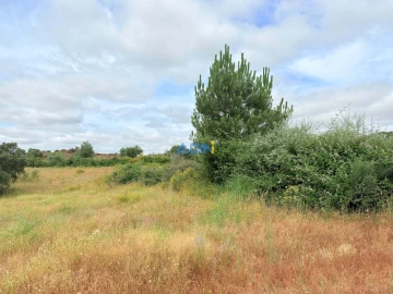 Terreno para Venda em Lardosa