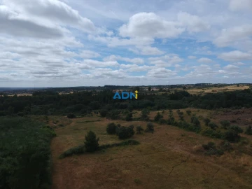 Terreno para Venda em Lardosa