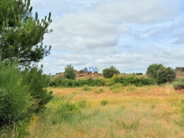 Terreno para Venda em Lardosa