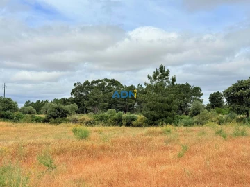 Terreno para Venda em Lardosa
