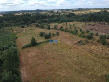 Terreno para Venda em Lardosa