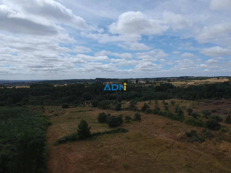 Terreno para Venda em Lardosa Foto 3