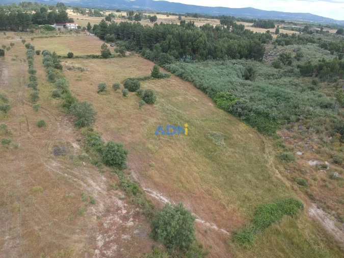 Terreno para Venda em Lardosa Foto 4