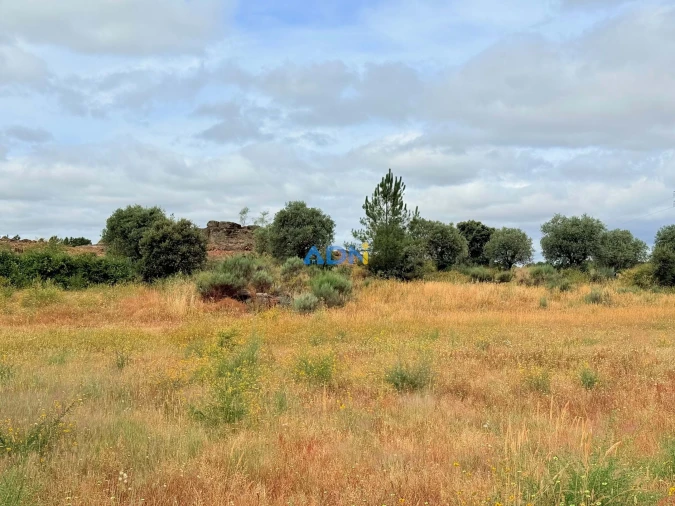 Terreno para Venda em Lardosa Foto 10