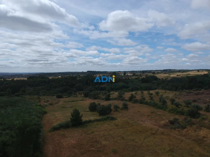 Terreno para Venda em Lardosa Foto 3