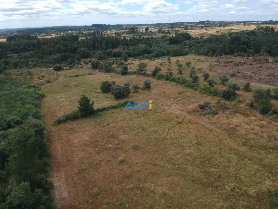 Terreno para Venda em Lardosa Foto 1