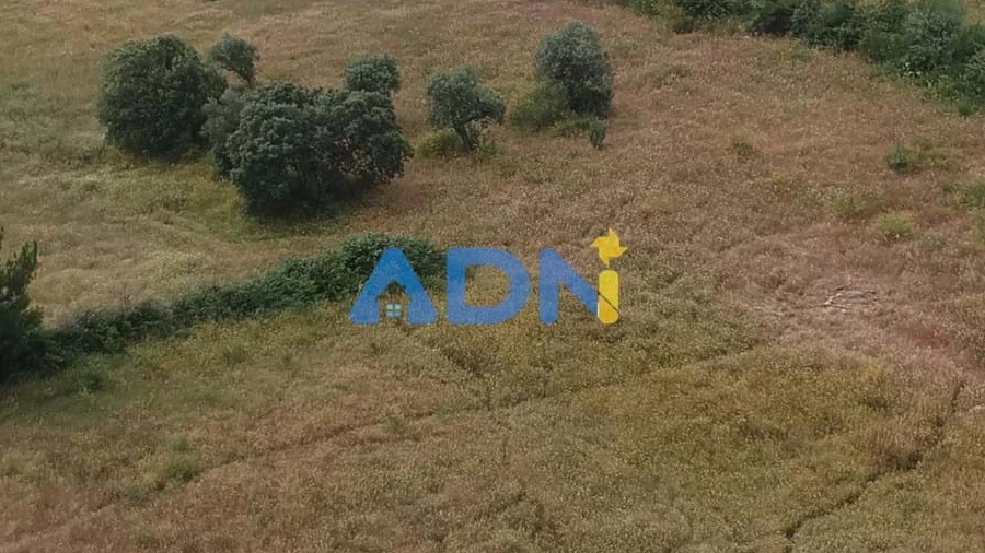 Terreno para Venda em Lardosa