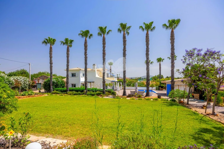 Moradia T4 para Venda em Pechão Foto 49