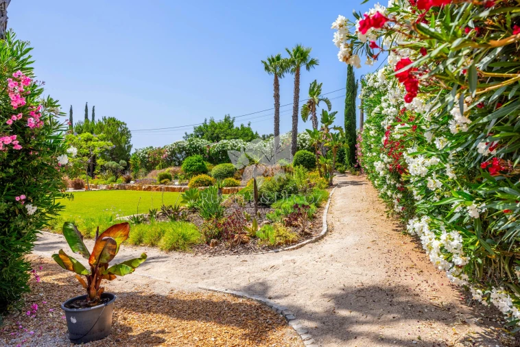 Moradia T4 para Venda em Pechão Foto 46