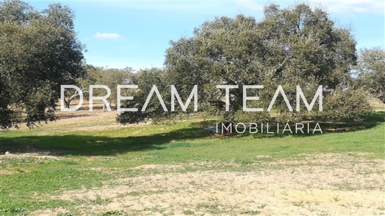 Quinta T0 para Venda em Santiago do Cacém, Santa Cruz e São Bartolomeu da Serra Foto 13
