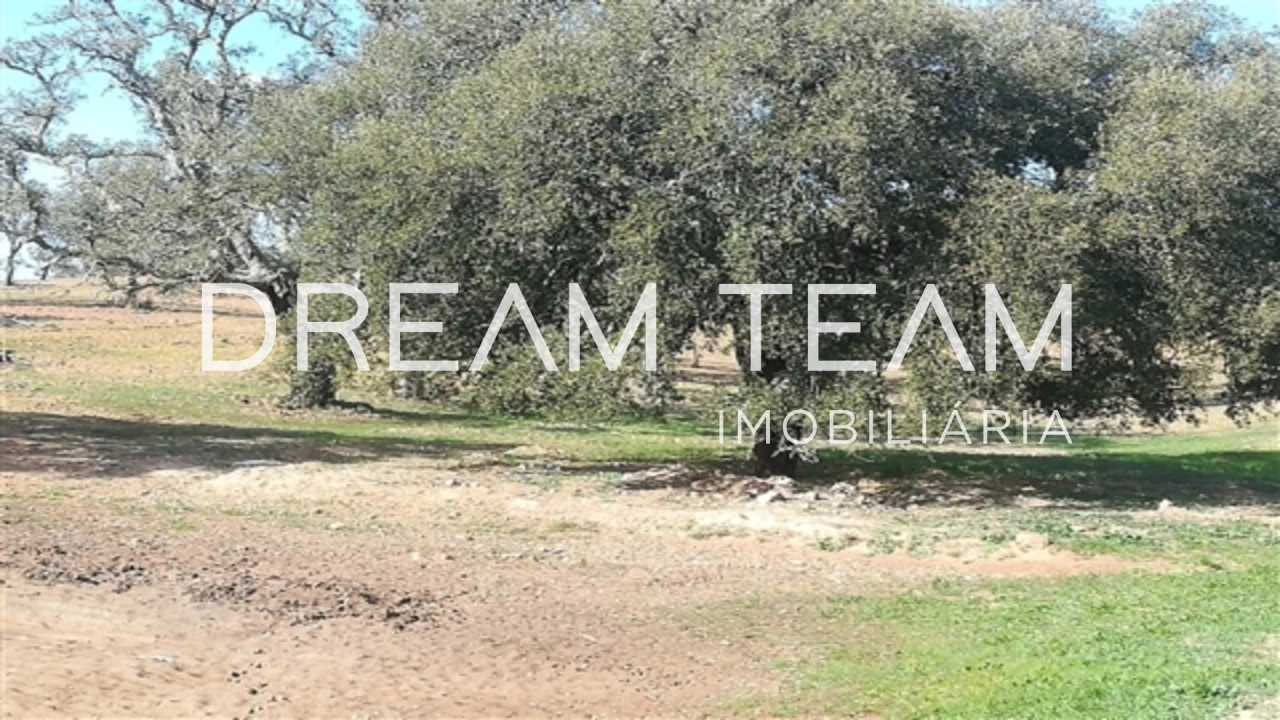 Quinta T0 para Venda em Santiago do Cacém, Santa Cruz e São Bartolomeu da Serra Foto 8