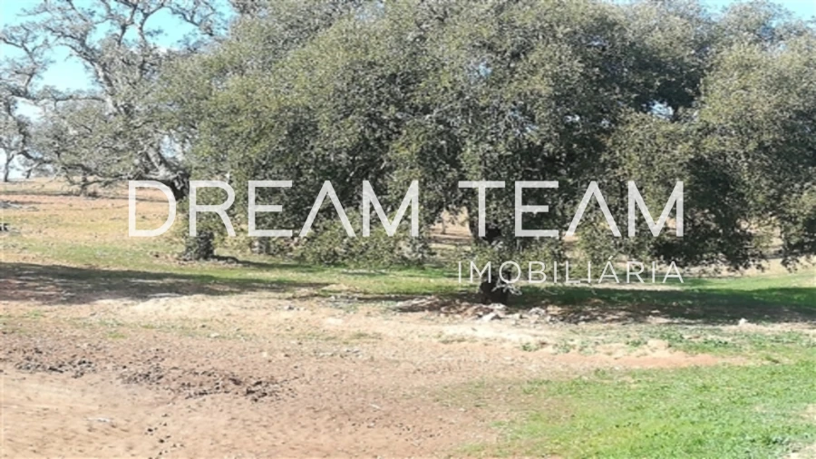 Quinta T0 para Venda em Santiago do Cacém, Santa Cruz e São Bartolomeu da Serra Foto 8