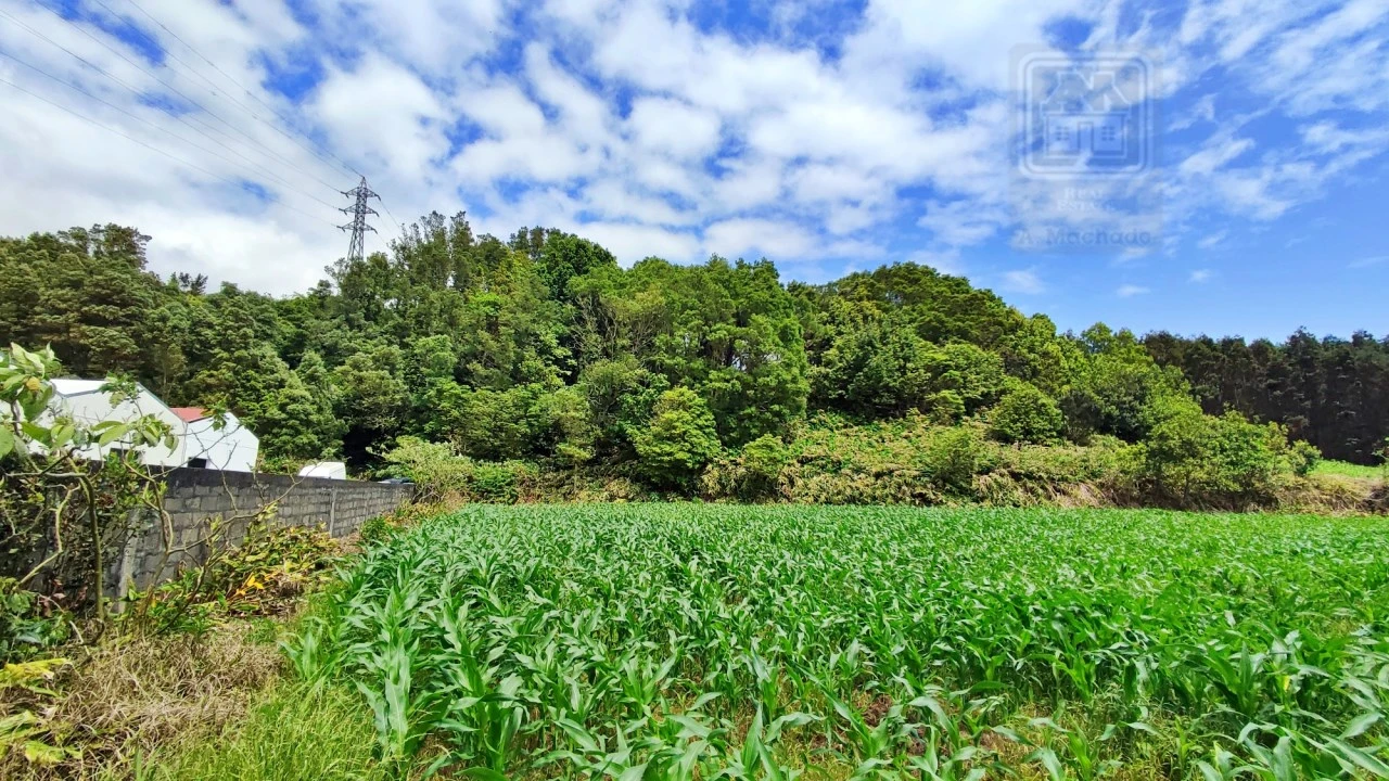 Terreno para Venda em Pico da Pedra Foto 19