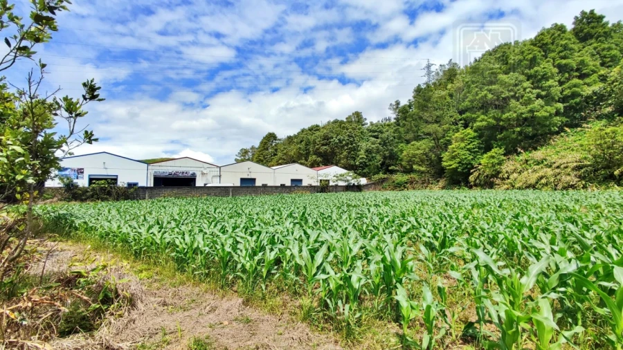 Terreno para Venda em Pico da Pedra