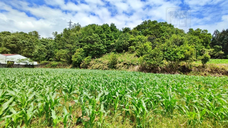 Terreno para Venda em Pico da Pedra Foto 11