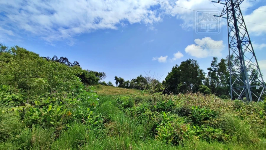 Terreno para Venda em Pico da Pedra Foto 23